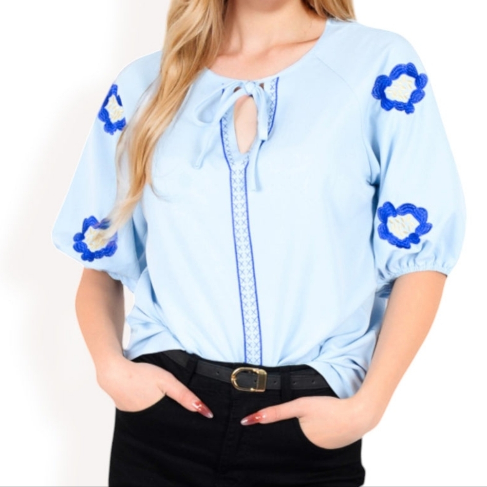 Sky Blue Embroidered Blouse with Floral Accents